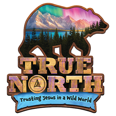 True North Logo