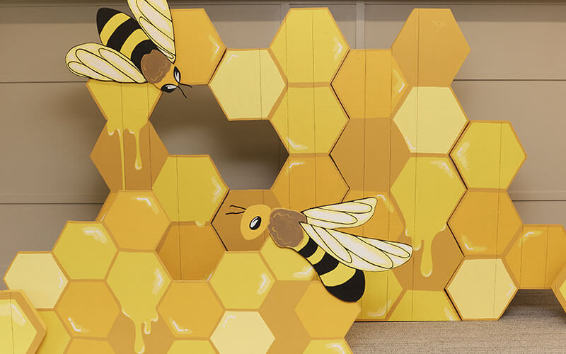 Magnified Decorating Snacks