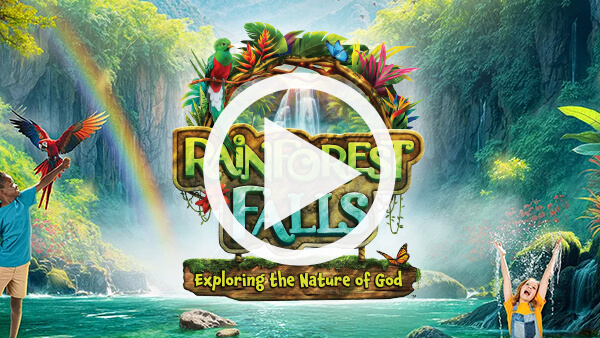Watch the Rainforest Falls intro video